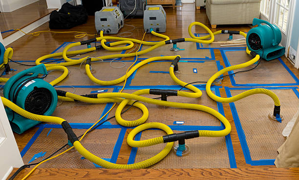 Professional Crawl Space Water Removal technician working in Newbury Park, CA